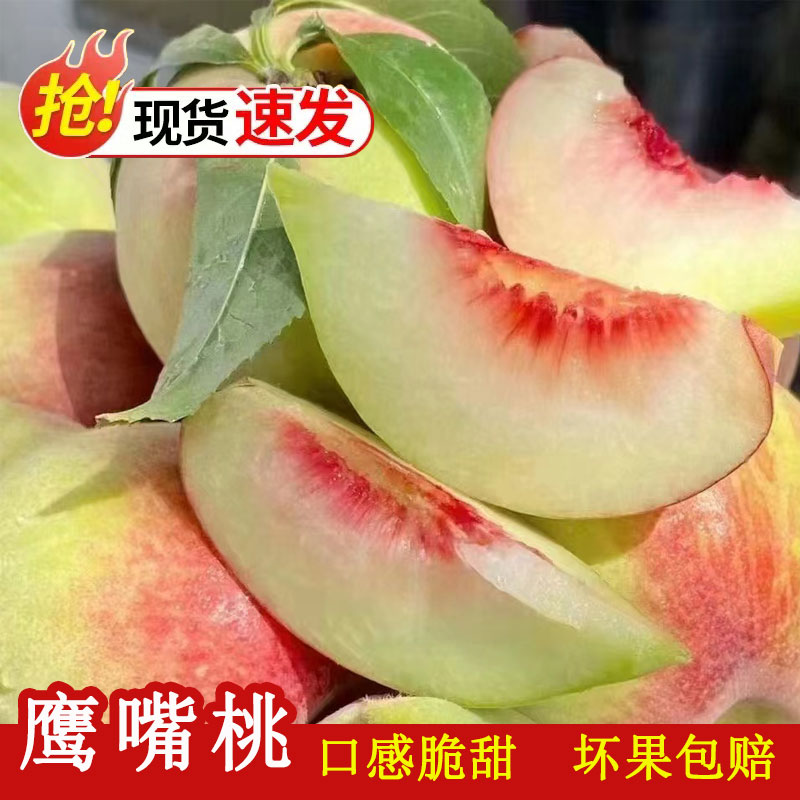 三標(biāo)鷹嘴桃