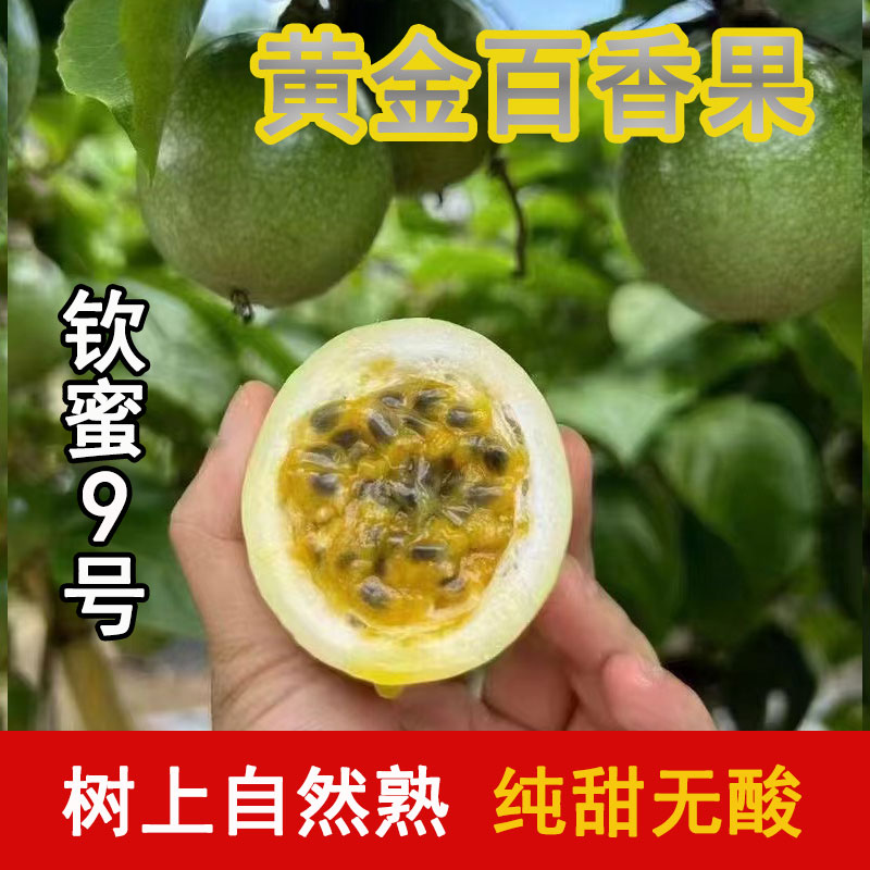 黃金百香果
